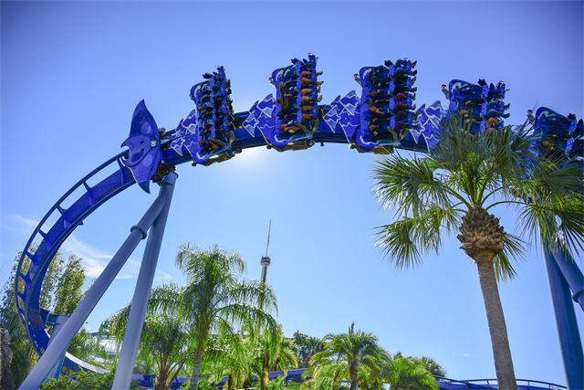 SeaWorld's Coasters After Dark