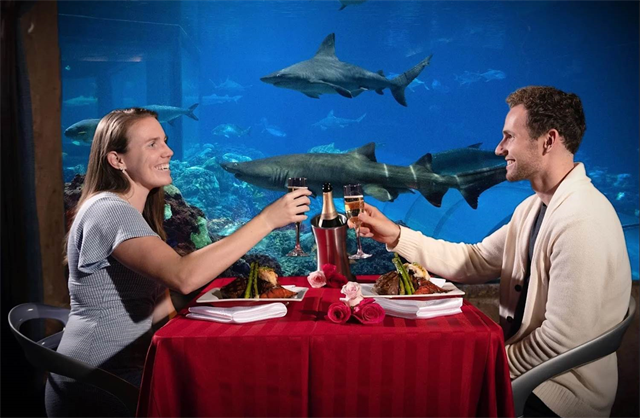 Valentine's Day at Shark's Underwater Grill and Bar